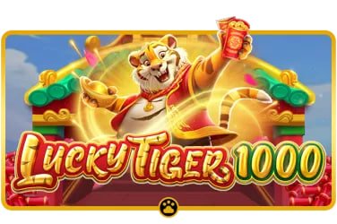 156bet